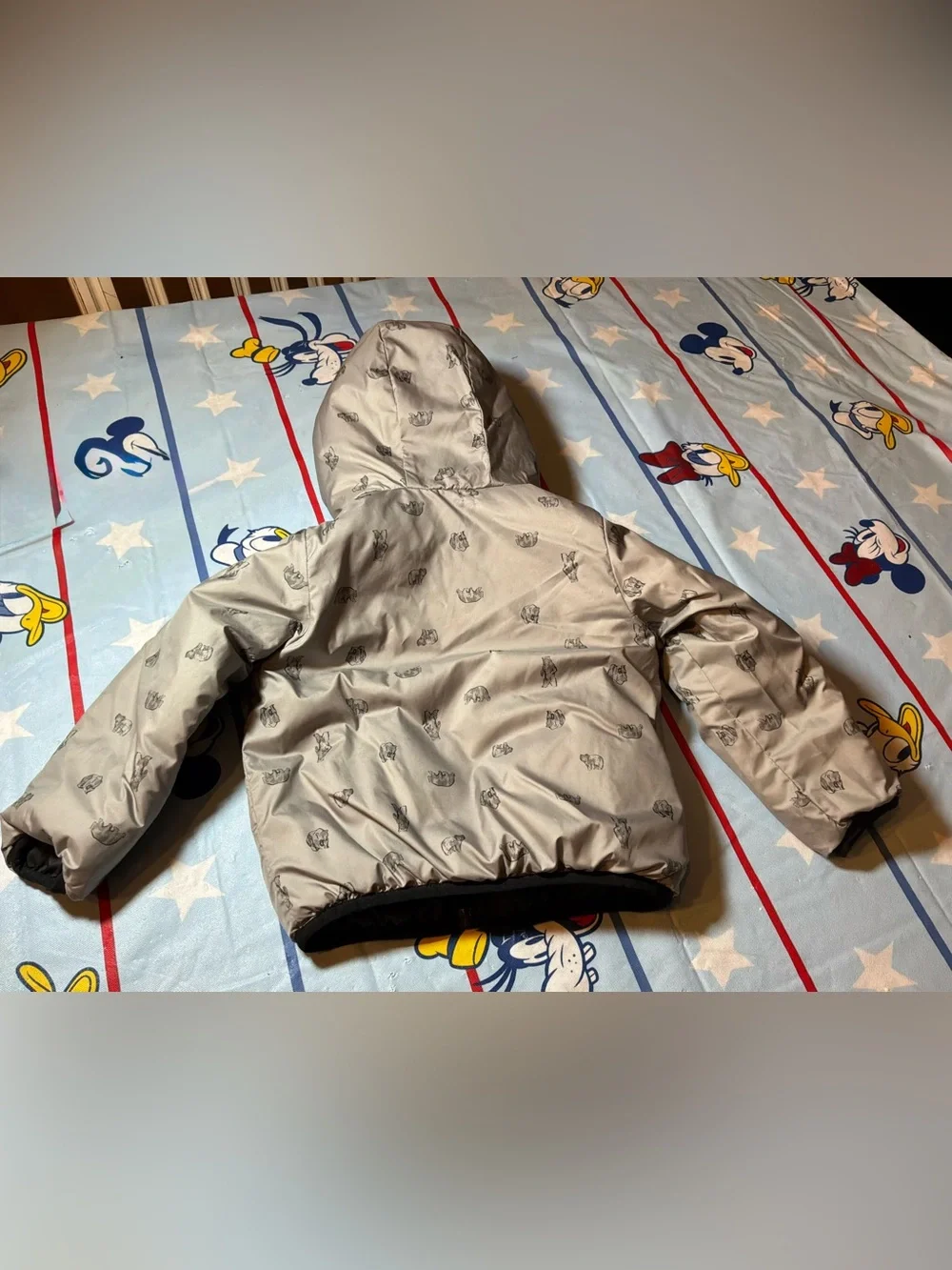 The North Face north face